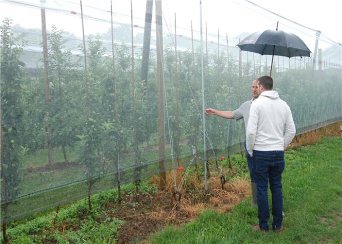 Plastic Transparent Anti Hail Garden Plant Netting For Agriculture Using