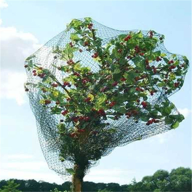 High Density Polyethylene Bird Netting For Plants / Fruit Trees Wrap Knitted Type
